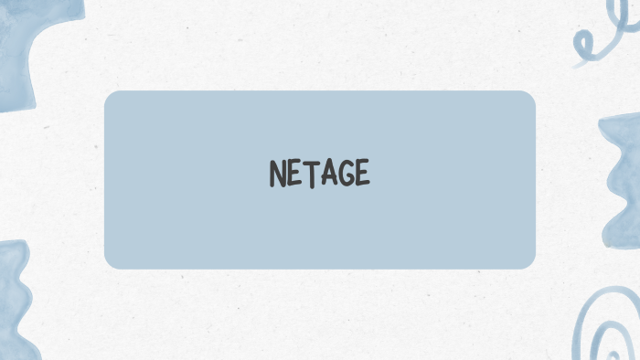 NETAGE